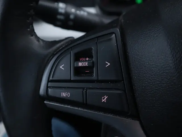 Suzuki Ignis 1.2 Stijl 2019 Benzine 20