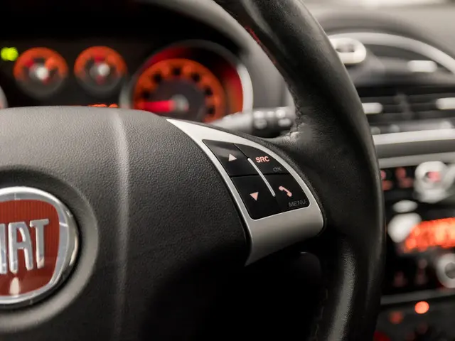 Fiat Punto Evo 0.9 TwinAir Edizione Cool 2013 Benzine 18