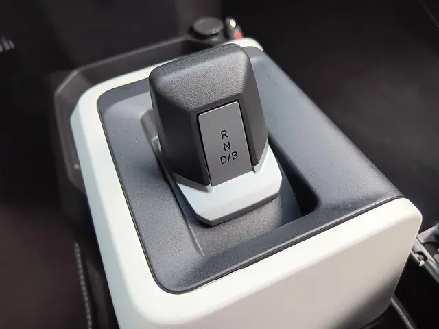 Dacia Spring Extreme 65 26.8 kWh 2024 Elektrisch 16