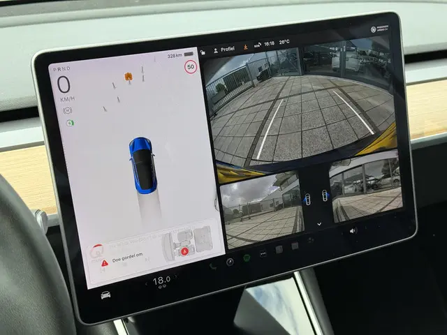 Tesla Model 3 Range Plus 2020 Elektrisch 23