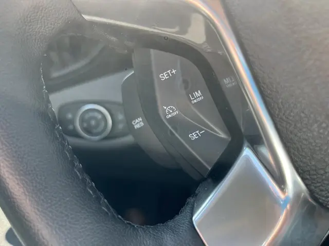 Ford Transit Connect 1.0 Ecoboost L2 Trend 2024 Benzine 19