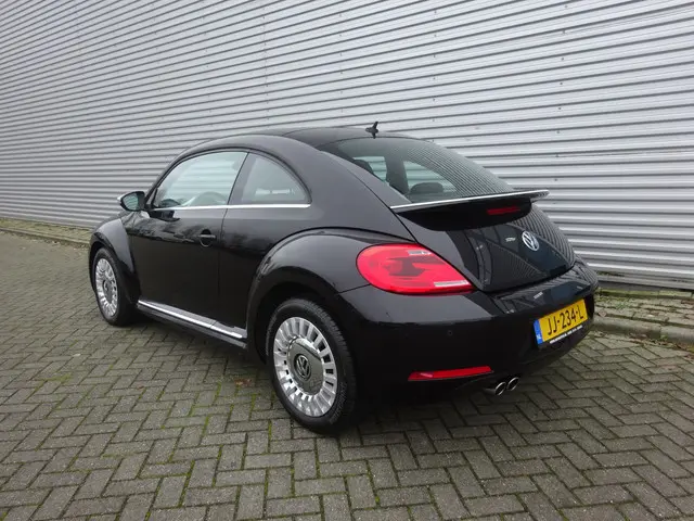 Volkswagen Beetle 3