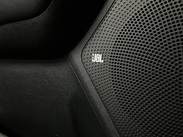 Kia e-Niro ExecutiveLine 64 kWh 2020 Elektrisch 35