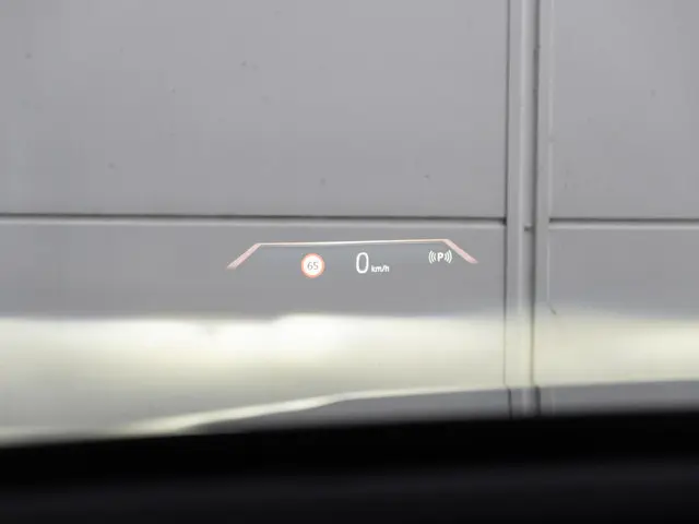 BMW iX xDrive40 2024 Elektrisch 20