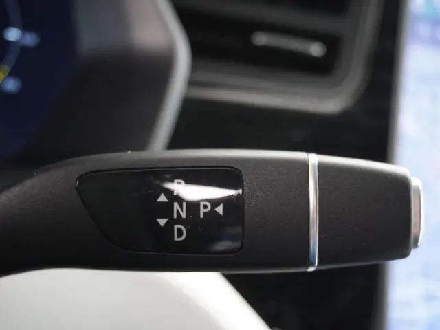 Tesla Model X Long Range 100Kwh 2020 Elektrisch 30