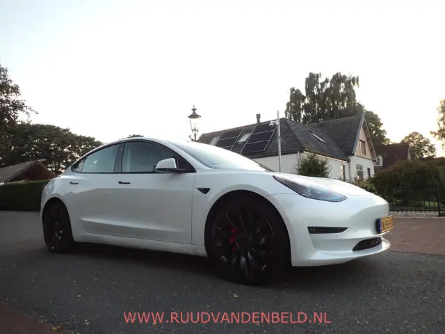 Tesla Model 3 Performance AWD 75kWh 2020 Elektrisch 3