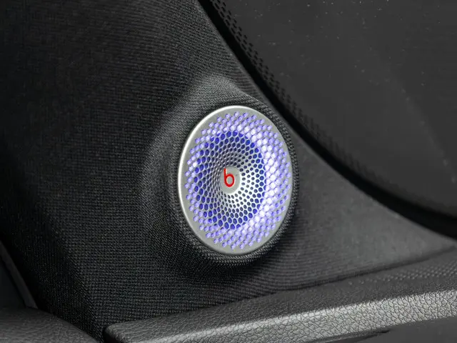 Smart #1 BRABUS 66 kWh 2025 Elektrisch 11