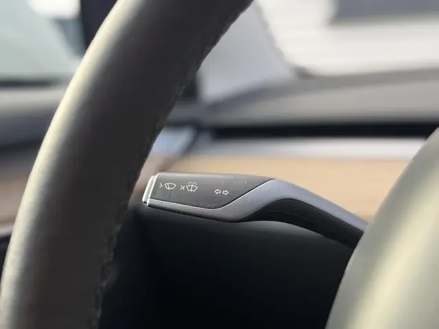Tesla Model 3 Long Range AWD 75 kWh 2021 Elektrisch 30