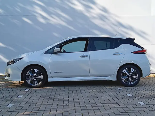 Nissan Leaf 40 kWh N-Connecta 2020 Elektrisch 24