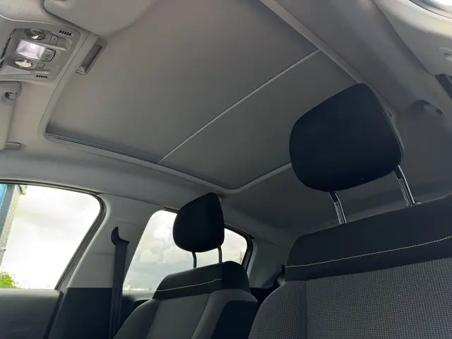Citroën C3 1.2 PureTech S&S Shine 2018 Benzine 25