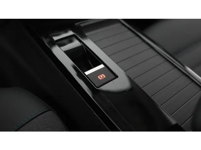Citroën C4 X PureTech 130 EAT8 Plus 2023 Benzine 35