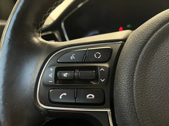 Kia e-Niro ExecutiveLine 64 kWh 2020 Elektrisch 38