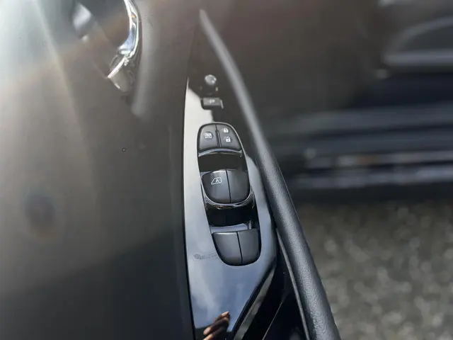 Nissan Leaf Tekna 40 kWh 2019 Elektrisch 29