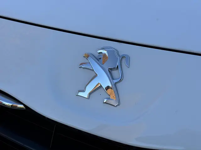 Peugeot Expert 227 1.6 HDI L1H1 Navteq 2 2015 Diesel 20