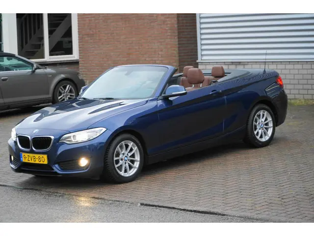 BMW 2 Serie Cabrio 220i EERSTE EIGENAAR 2015 Benzine 17