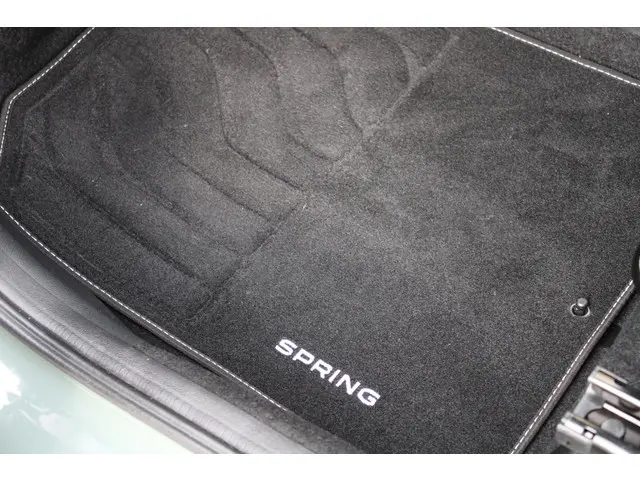 Dacia Spring 45 Expression 2024 Elektrisch 33