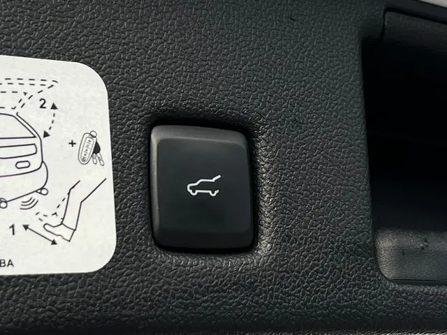 Ford Kuga 2.5 PHEV ST-Line X 2021 Hybride Benzine 8