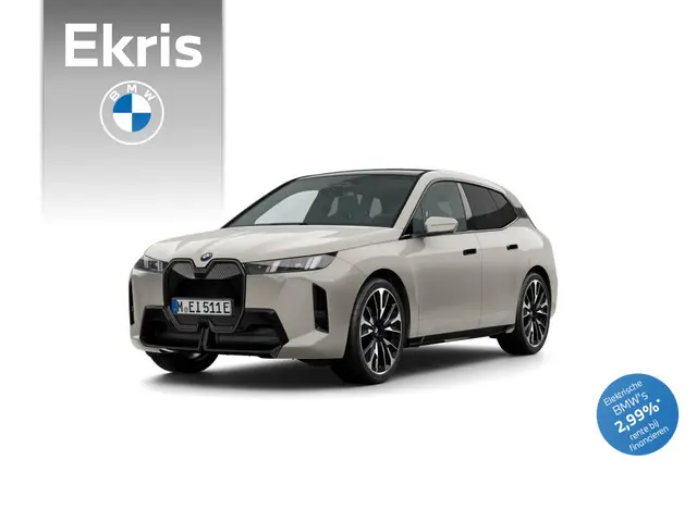 BMW iX