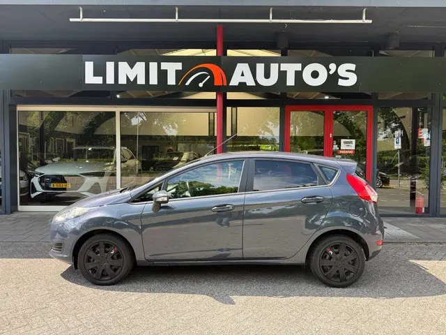 Ford Fiesta 1.25/Airco/Elek. Ramen/Nap/Apk! 2014 Benzine 7