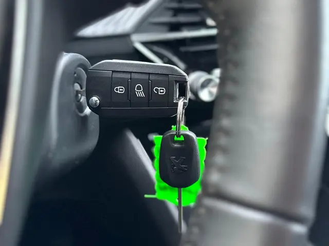 Peugeot 208 1.2 PureTech Active 2022 Benzine 28