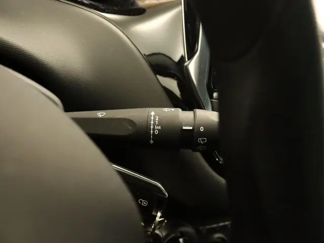 Peugeot 208 1.2 PureTech Blue Lion 2017 Benzine 24