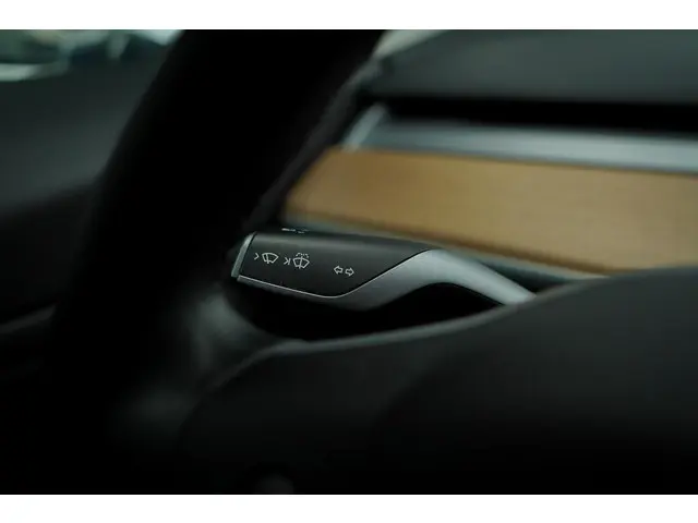 Tesla Model 3 Standard RWD Plus 60 kWh 2019 Elektrisch 29