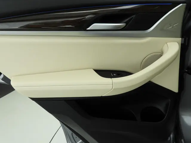 BMW X3 xDrive30e 2024 Hybride Benzine 18