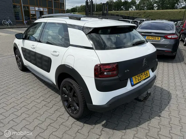 Citroën C4 Cactus 1.6 BlueHDi Live 2015 Diesel 6