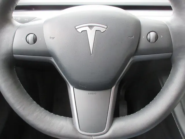 Tesla Model Y Long Range AWD 75 kWh 2021 Elektrisch 14