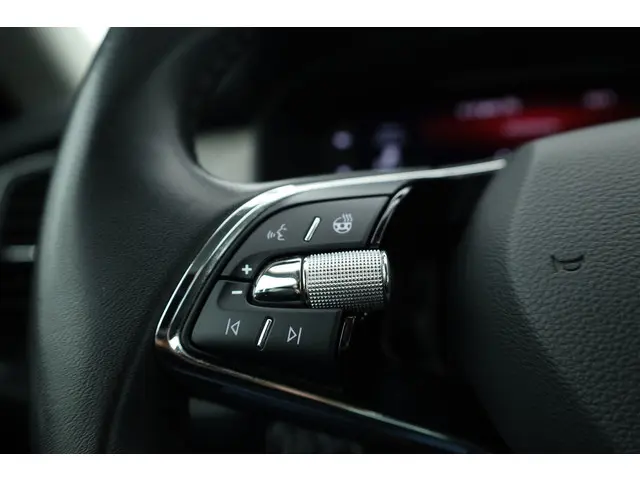 Škoda Kodiaq 1.5 TSI Style Business 7p. DSG 2023 Benzine 13