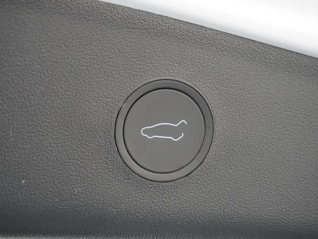 Tesla Model 3 Long Range RWD 75 kWh 2023 Elektrisch 13
