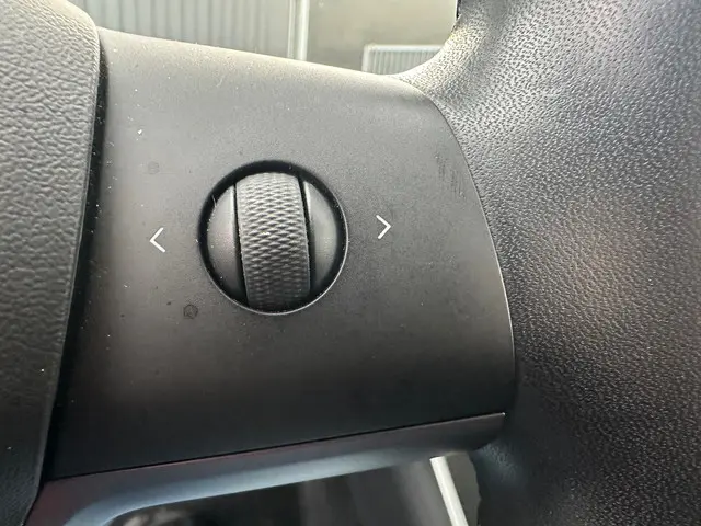 Tesla Model 3 Standard RWD Plus 60 kWh 2019 Elektrisch 15