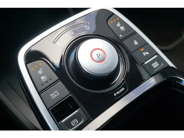 Kia e-Niro ExecutiveLine 64 kWh 2019 Elektrisch 15