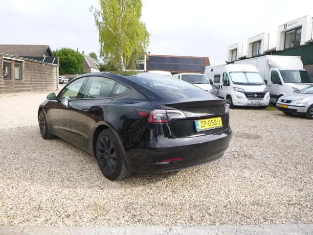 Tesla Model 3 Standard RWD Plus 60 kWh 2019 Elektrisch 7
