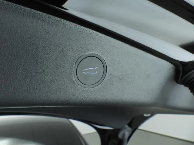 Tesla Model 3 Standard RWD Plus 60 kWh 2023 Elektrisch 31