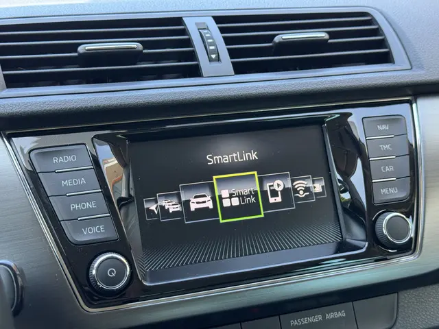 Škoda Fabia Combi 1.0 TSI Business Edition 2020 Benzine 18