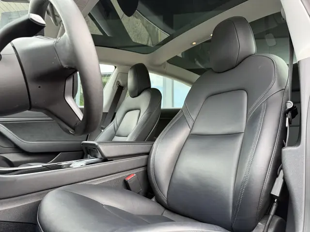 Tesla Model 3 Range Plus 2020 Elektrisch 11