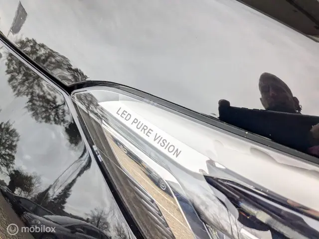 Renault Captur 0.9 TCe Intens 2018 Benzine 14