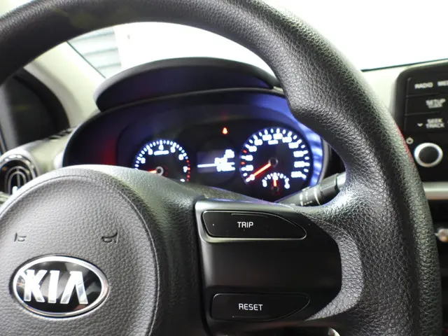 Kia Picanto 1.0 CVVT EconomyPlusLine 2017 Benzine 10
