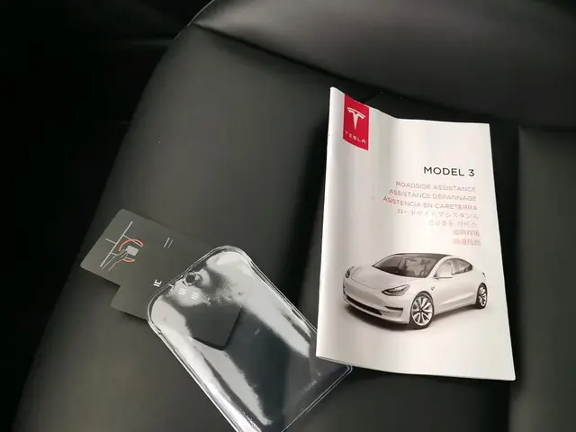 Tesla Model 3 Standard RWD Plus 60 kWh 2020 Elektrisch 12