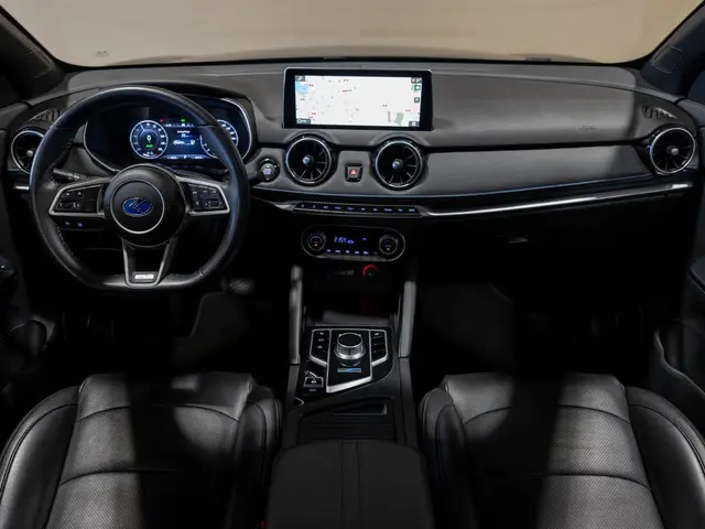Seres 3 52kWh / 163pk / Panorama dak / Leder / 2021 Elektrisch 35