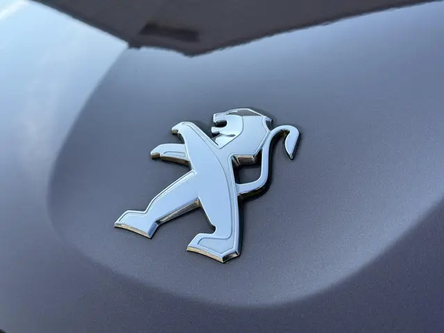 Peugeot 2008 1.6 VTi Première 2014 Benzine 43