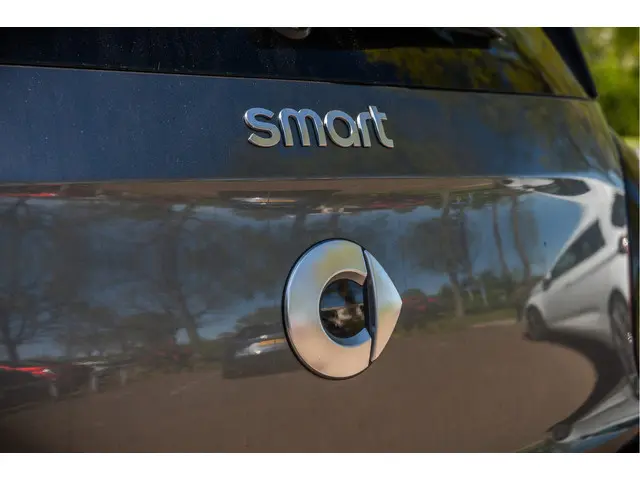 Smart Forfour 1.0 Pure 2017 Benzine 13