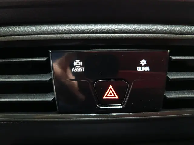 Volkswagen Caddy Cargo Maxi 2.0 TDI Comfort 2022 Diesel 21