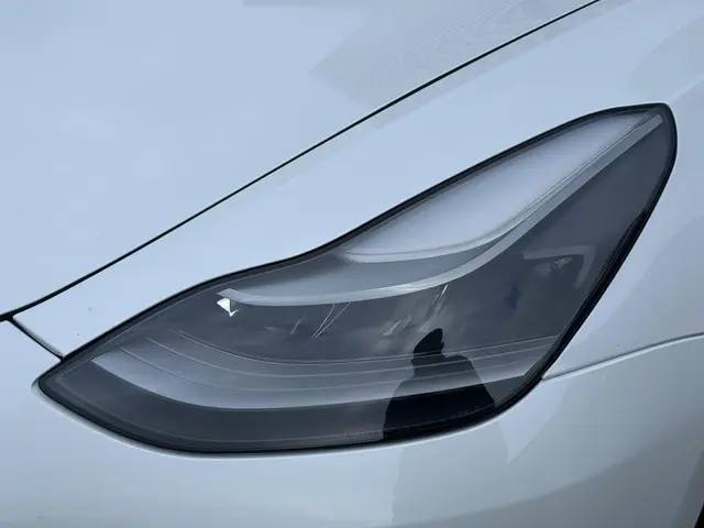 Tesla Model 3 Long Range AWD 75 kWh 2021 Elektrisch 35