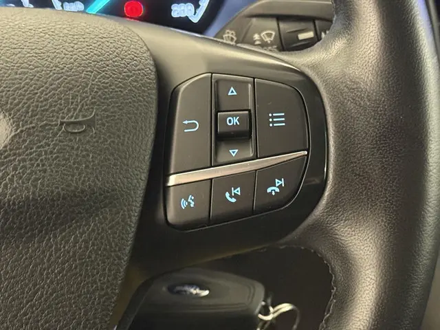 Ford Transit 290 2.0 TDCI L2H2 Trend 2020 Diesel 21