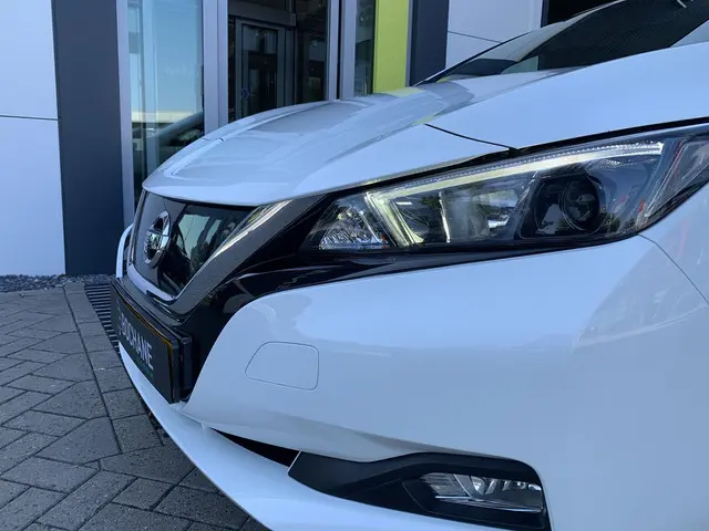 Nissan Leaf Acenta 40 kWh 2020 Elektrisch 22