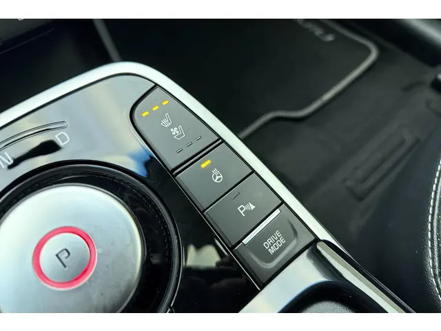 Kia e-Niro ExecutiveLine 64 kWh 2021 Elektrisch 25