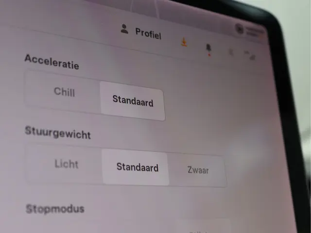 Tesla Model 3 Standard RWD Plus 60 kWh 2019 Elektrisch 37