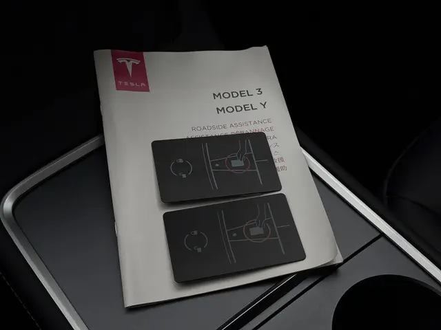 Tesla Model Y Range Plus 2022 Elektrisch 28